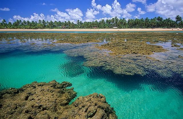 Pousada Espaco Do Sagui - Taipu De Fora Otel Barra Grande  Dış mekan fotoğraf